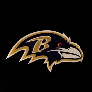 Baltimore Ravens Anquan Boldin T-Shirt